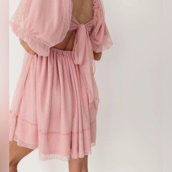 Mable Whimsical Blush Organza Babydoll Muse Chiffon Tulle Swiss Dot Skater Dress - Picture 5 of 13